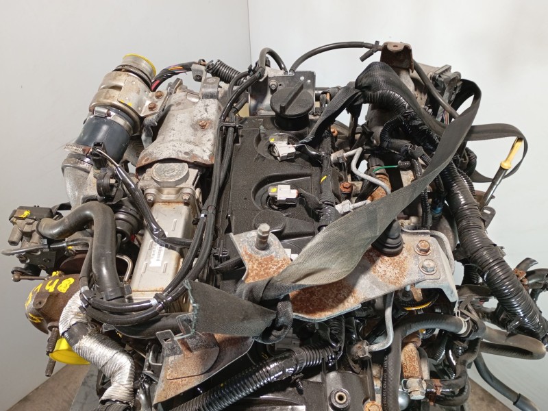 Recambio de motor completo para nissan pathfinder iii (r51) 2.5 dci 4wd referencia OEM IAM YD25DDTi  