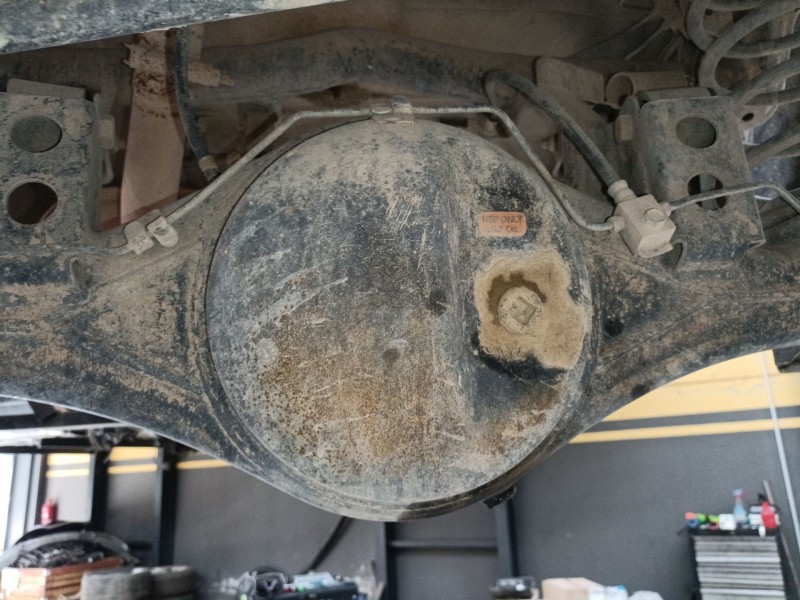 Recambio de diferencial trasero para nissan terrano ii (r20) 2.7 td 4wd referencia OEM IAM   