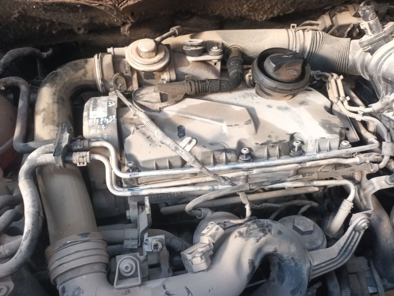 volkswagen golf plus v (5m1, 521) del año 2022