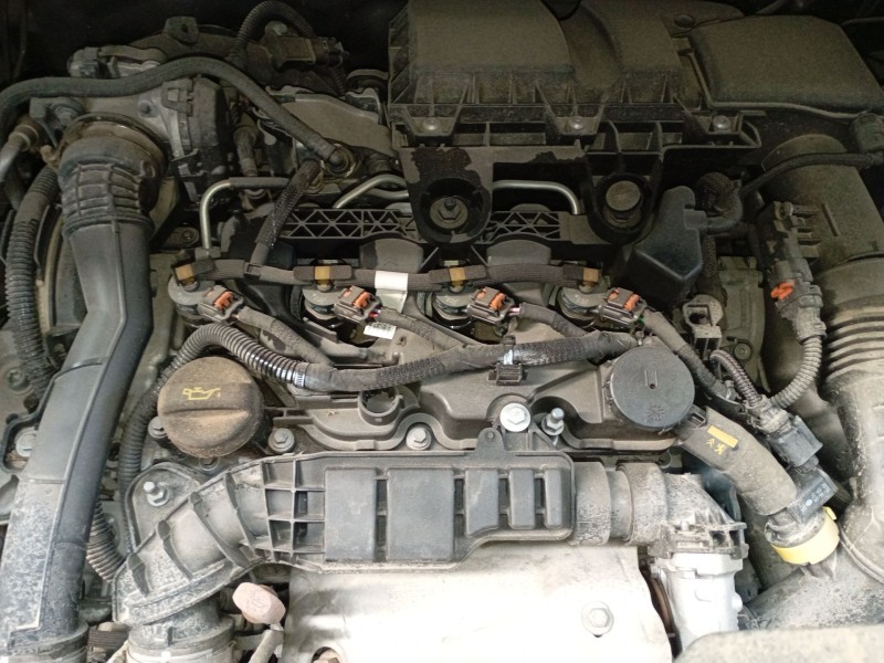 peugeot expert autobús (v_) del año 2018