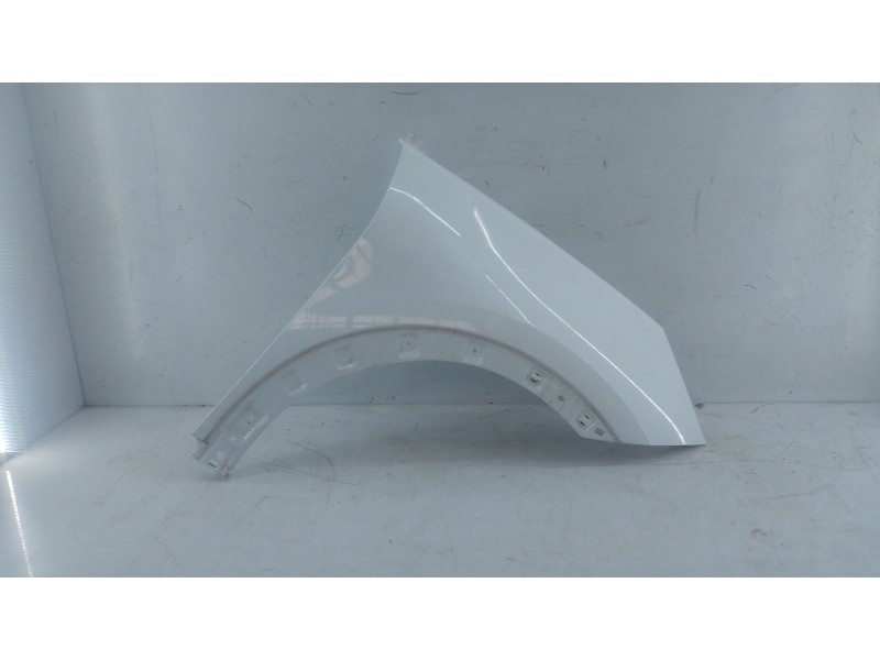 Recambio de aleta delantera derecha para volkswagen tiguan (ad1, ax1) 2.0 tdi referencia OEM IAM   