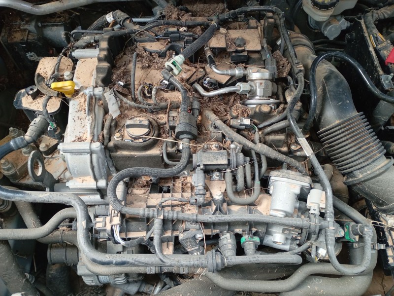 Recambio de motor completo para ford tourneo combi v769 referencia OEM IAM   