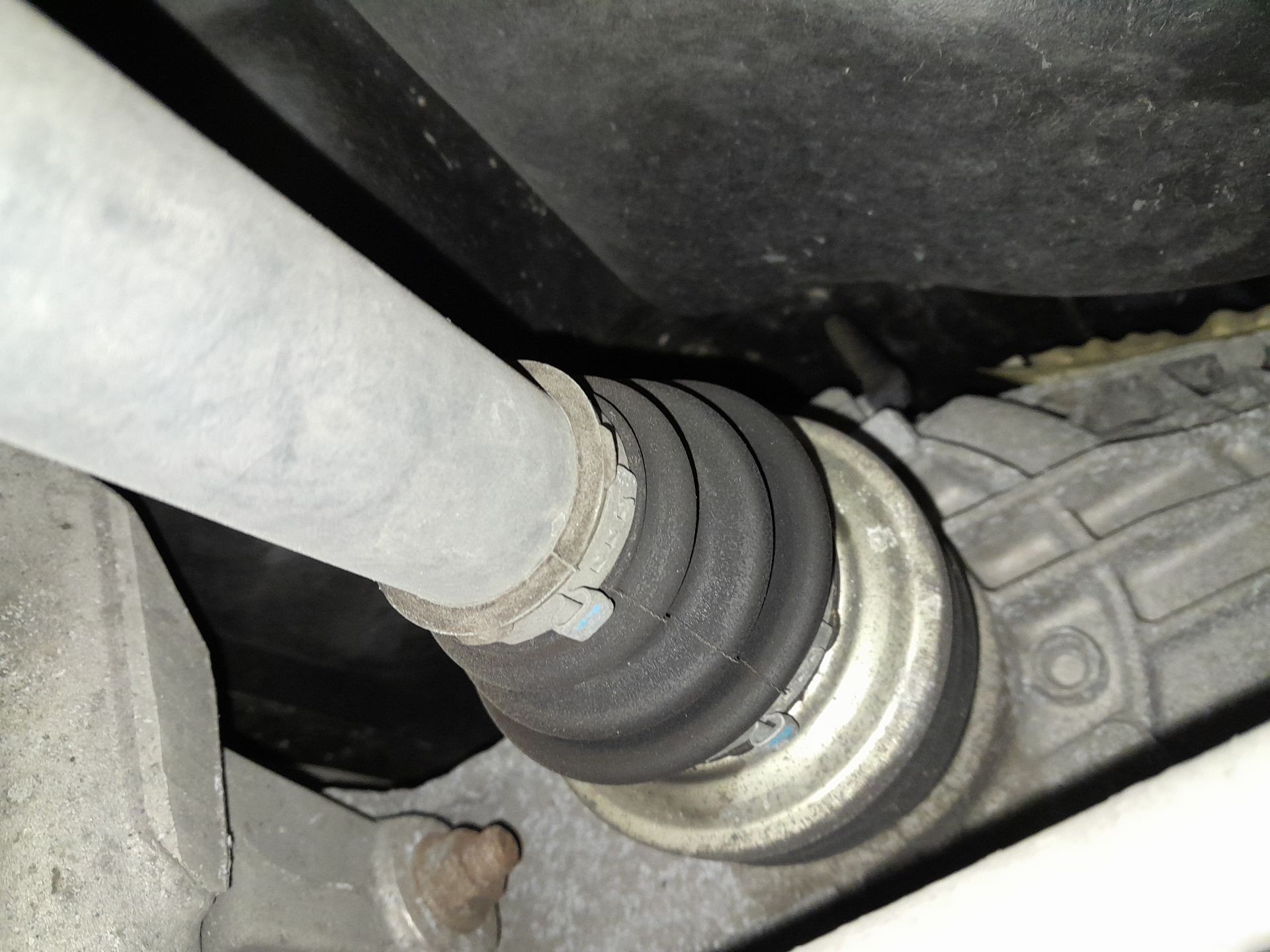 Principal