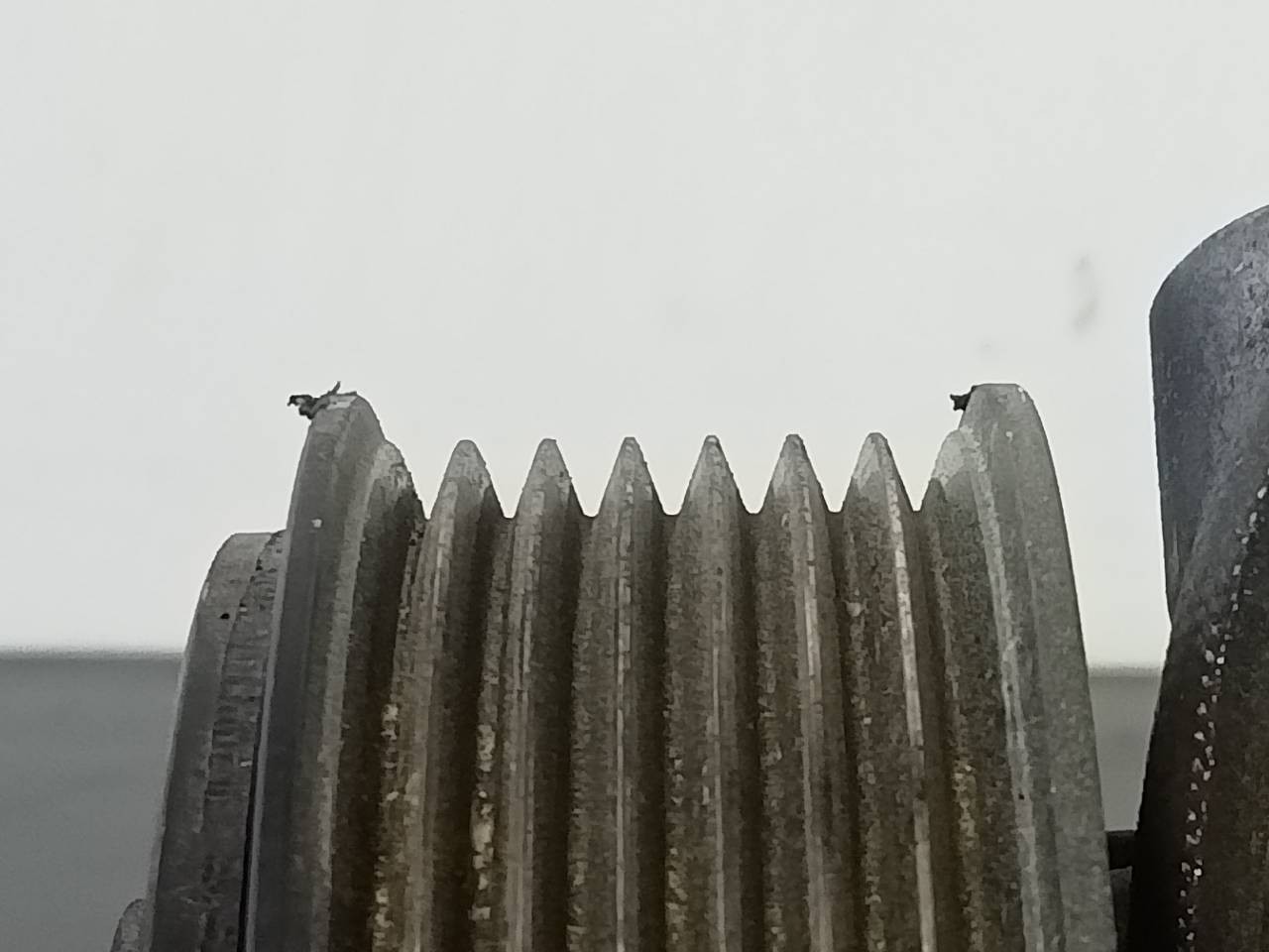 COMPRESOR AIRE ACONDICIONADO DACIA SANDERO III 926008469R / P3-B2-19-4 926008469RP3B2194 - Vista 3